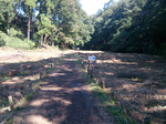 登山道2