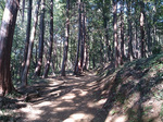 登山道3