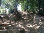 登山道4
