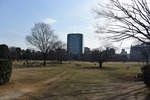 木場公園2
