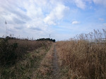 歩道?