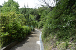 甲州街道3
