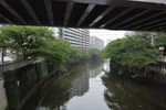 目黒川