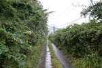 細道