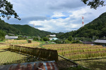 子神社より