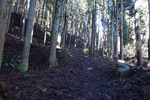 山道