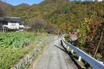 甲州街道4