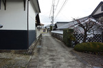 甲州街道2