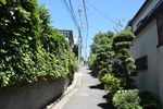 細道3