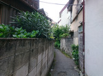 ルート2