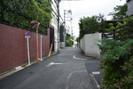三田