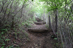 登山道3
