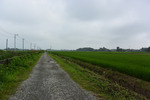 台山排水路