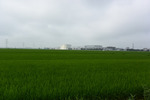 田園歩き