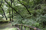 黒岩横穴群2