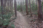 登山道