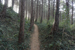 登山道
