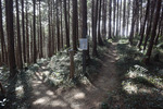 分岐点