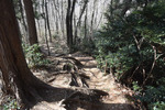 尾根歩き