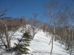 雪道2