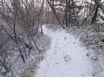 登山道3