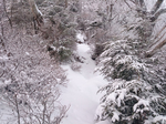 登山道4