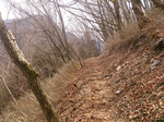 登山道3