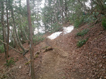 登山道4