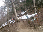 登山道5