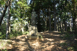 中沢山