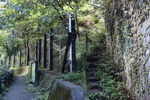 登山道
