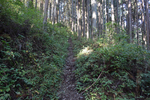 登山道