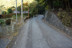 林道