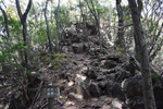 登山道