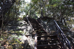 登山道2