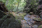下山道2