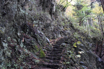登山道3