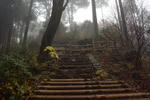 山頂への階段2