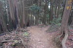 登山道