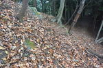 黒山へ