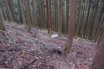 下山路2