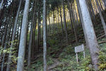 登山道