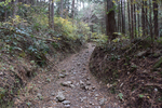 登山道