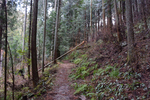 登山道