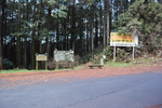 山道へ