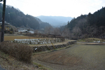 バス停より
