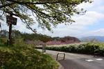 美の山公園2