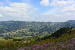 大霧山方面