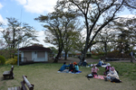 美の山公園内