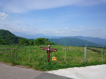 高原牧場